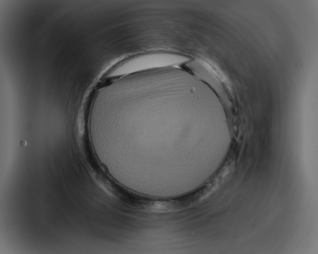 X0000086740060200705111643