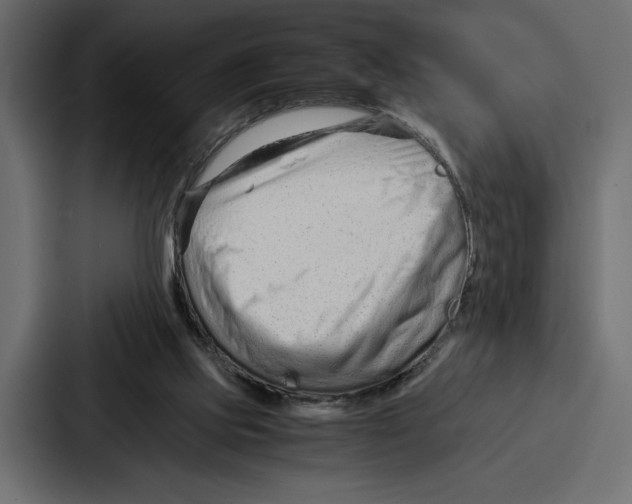 X0000086740061200705111643