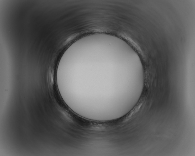 X0000086740062200705111643