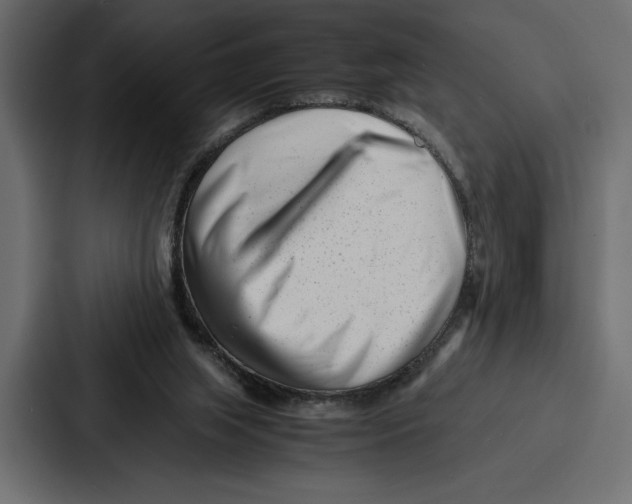 X0000086740063200705111643