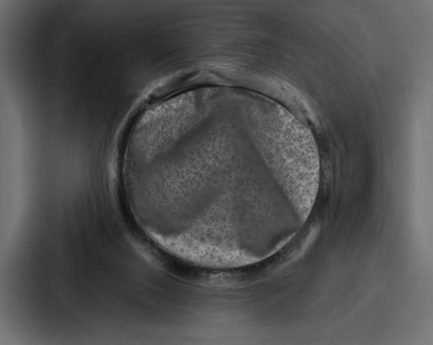 X0000086740064200705111643