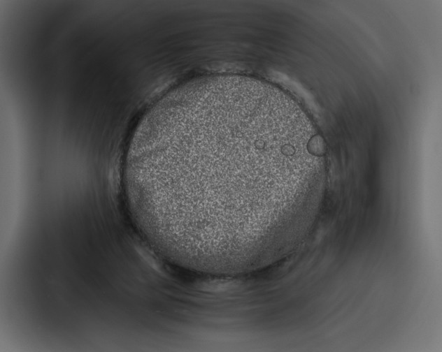 X0000086740065200705111643