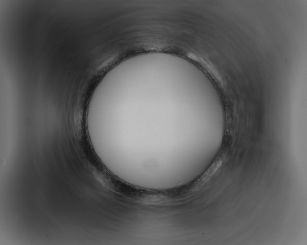 X0000086740066200705111643