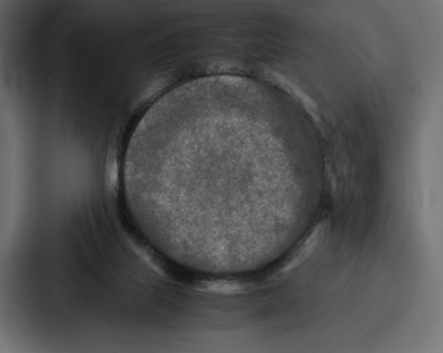X0000086740067200705111643