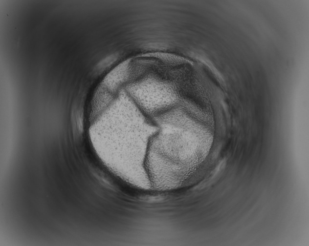 X0000086740068200705111643
