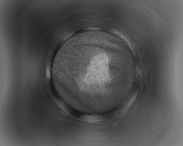 X0000086740069200705111643