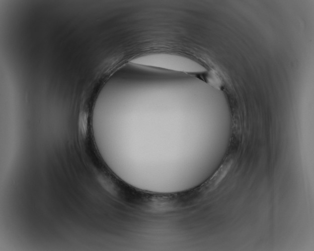 X0000086740070200705111643