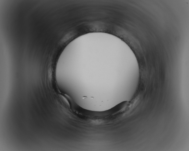 X0000086740071200705111643