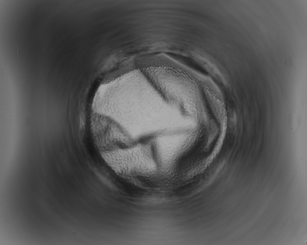 X0000086740072200705111643