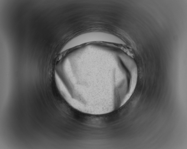X0000086740073200705111643