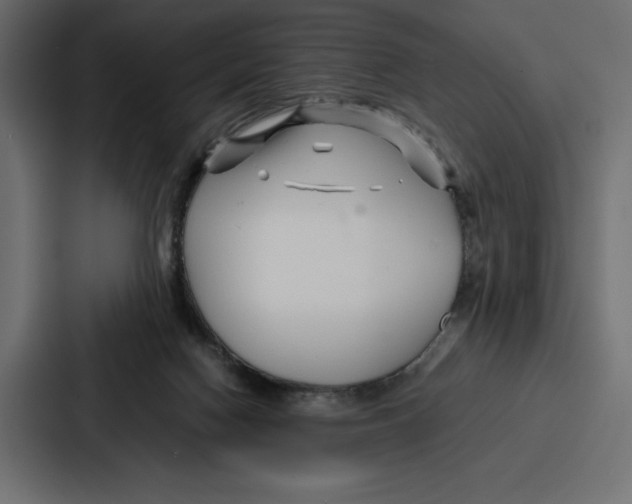 X0000086740074200705111643