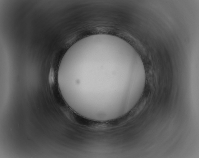 X0000086740075200705111643
