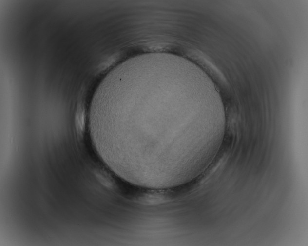 X0000086740076200705111643