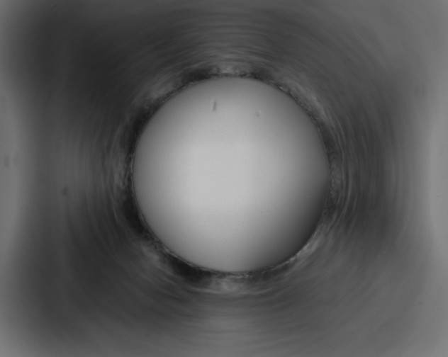 X0000086740078200705111643