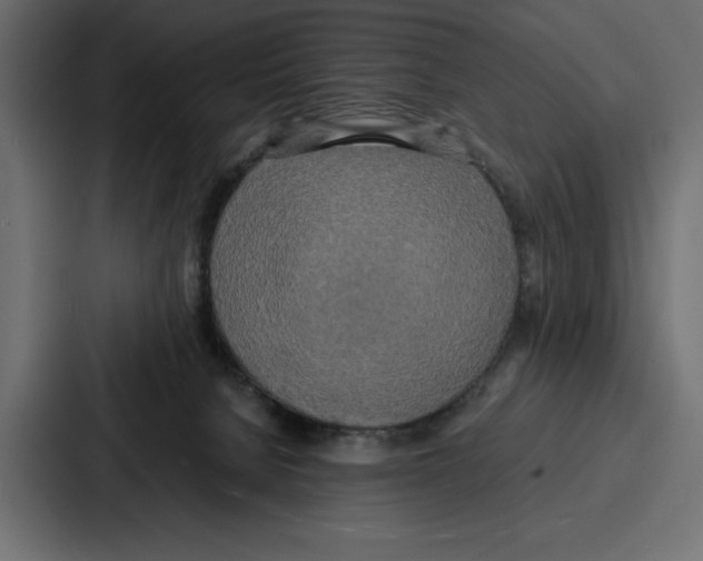 X0000086740080200705111643