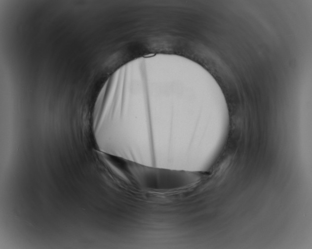 X0000086740081200705111643