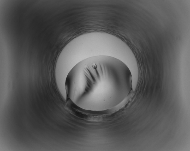 X0000086740084200705111643