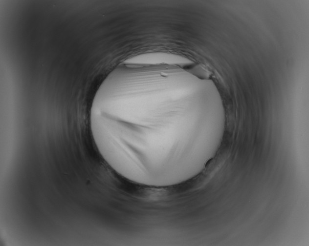 X0000086740085200705111643