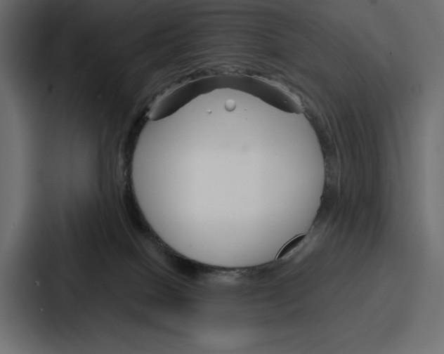 X0000086740086200705111643