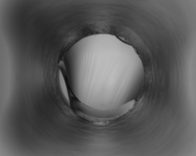 X0000086740088200705111643