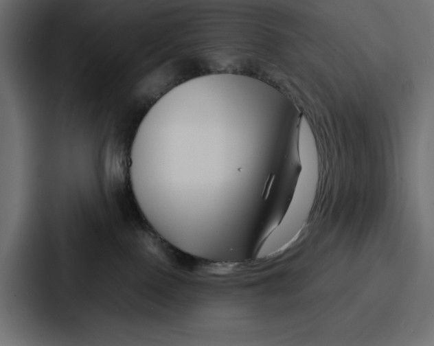 X0000086740090200705111643