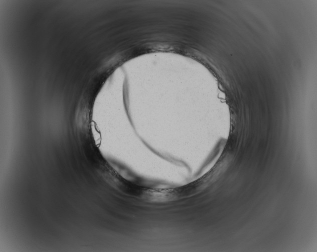X0000086740093200705111643