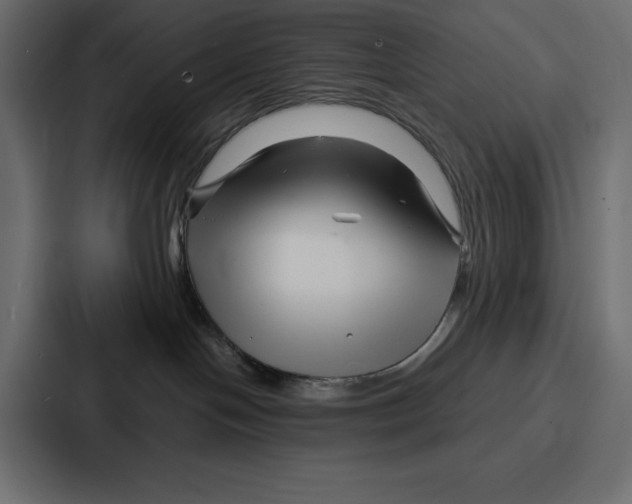 X0000086740094200705111643