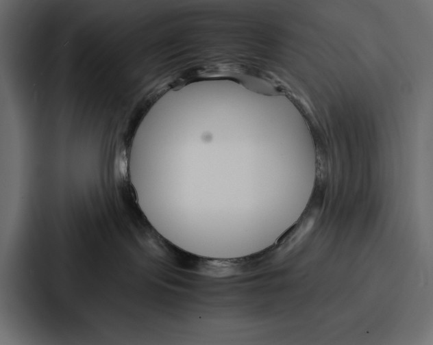 X0000086740095200705111643