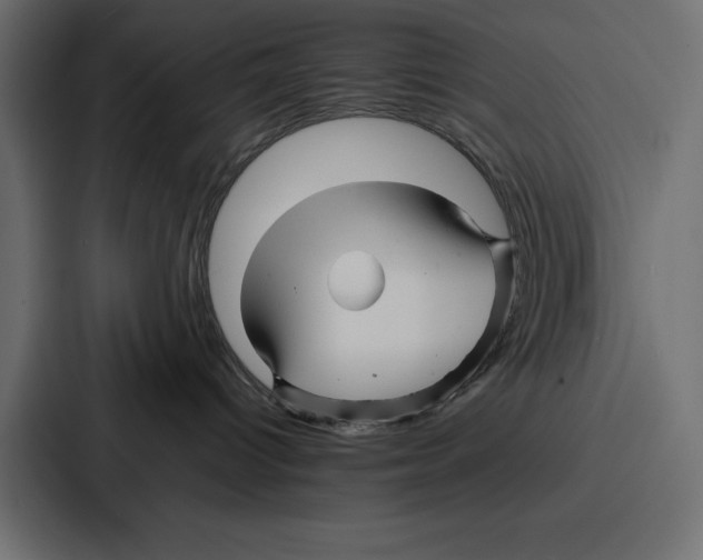 X0000086740096200705111643