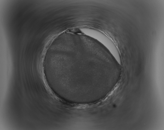 X0000086740097200705111643