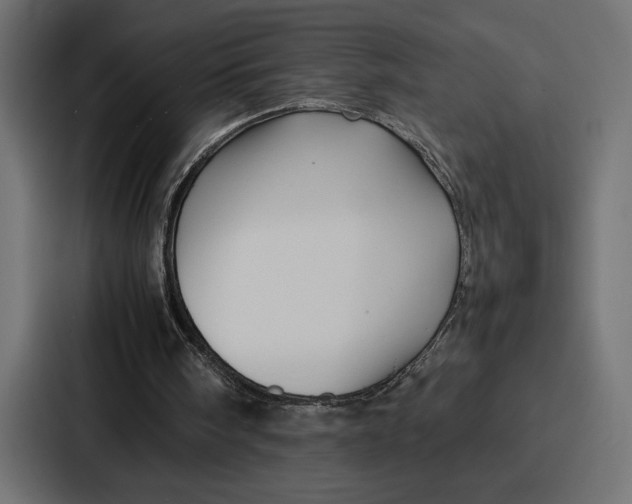 X0000086740098200705111643