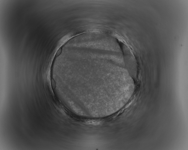 X0000086740099200705111643