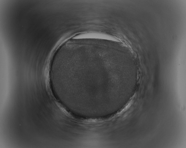 X0000086740101200705111643