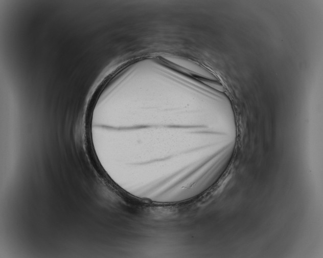 X0000086740102200705111643