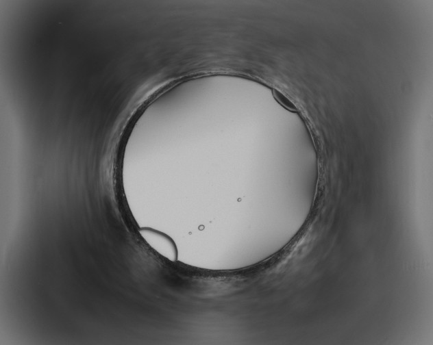 X0000086740103200705111643