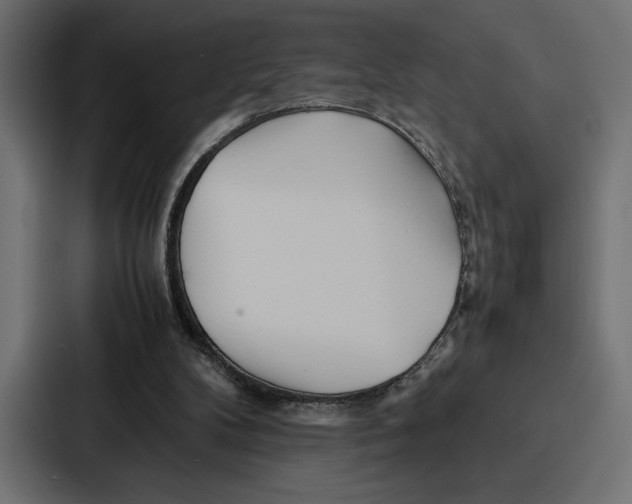 X0000086740104200705111643