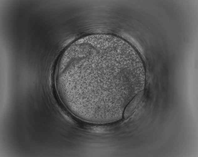 X0000086740105200705111643