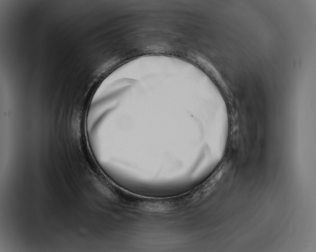 X0000086740106200705111643