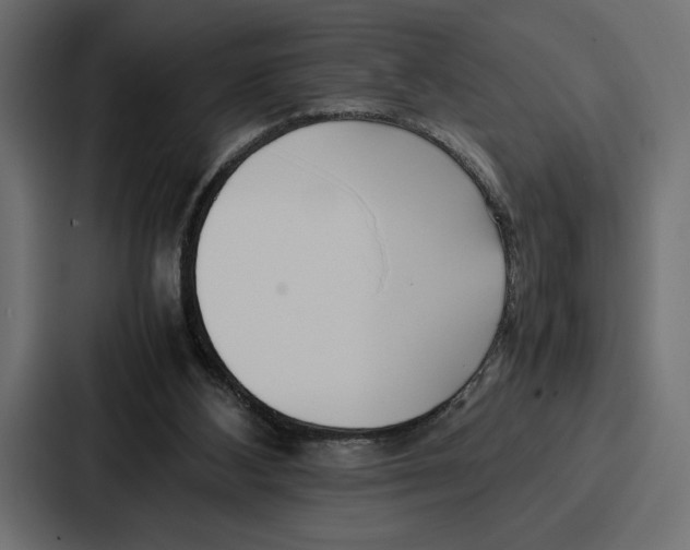 X0000086740108200705111643