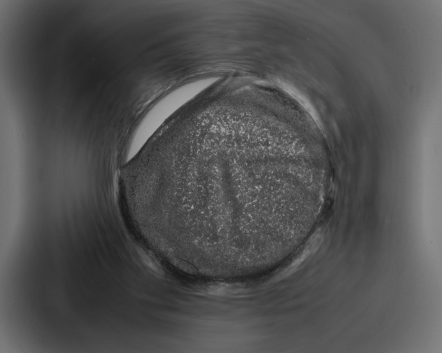 X0000086740109200705111643