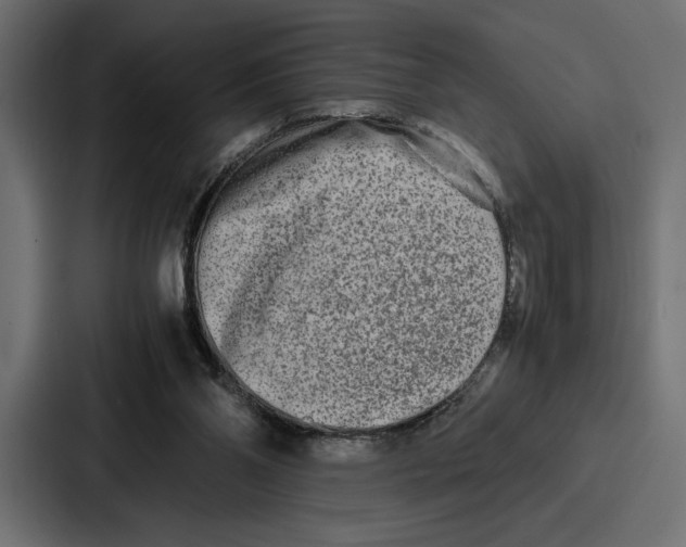 X0000086740110200705111643