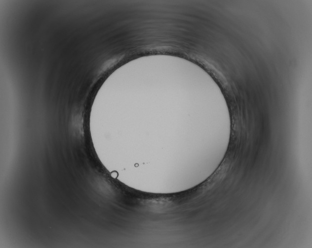 X0000086740112200705111643