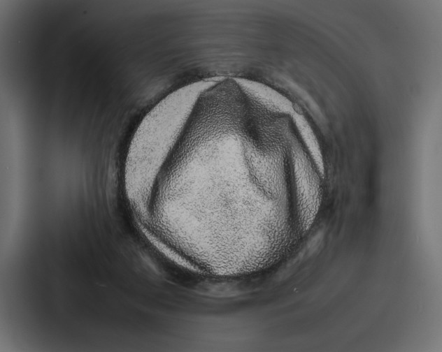 X0000086740113200705111643