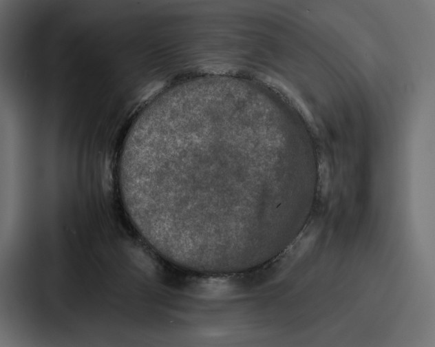 X0000086740114200705111643