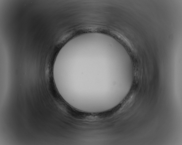 X0000086740119200705111642