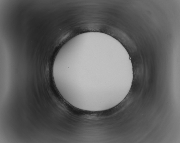 X0000086740120200705111642