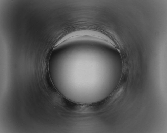X0000086740121200705111642