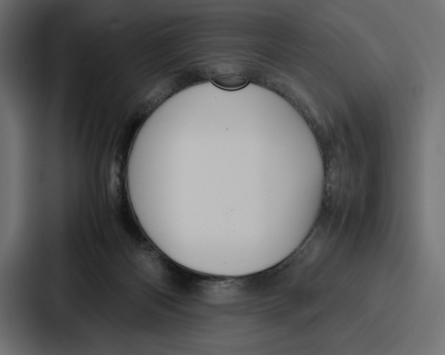 X0000086740122200705111642