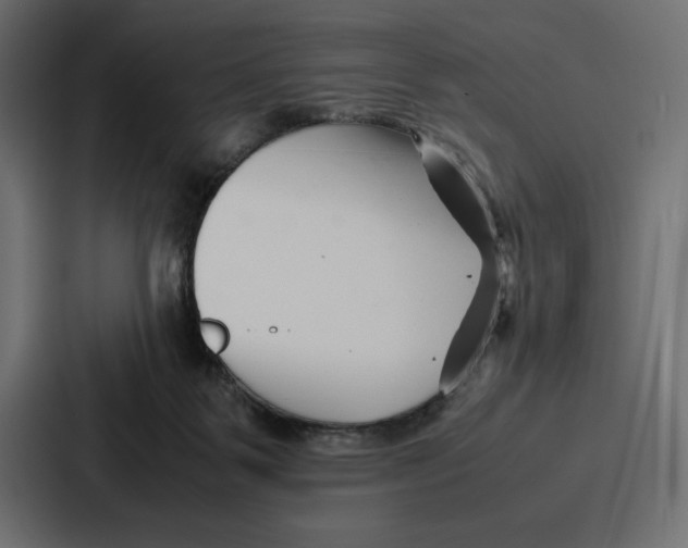 X0000086740123200705111642