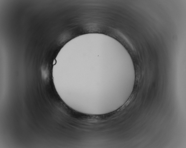 X0000086740124200705111642